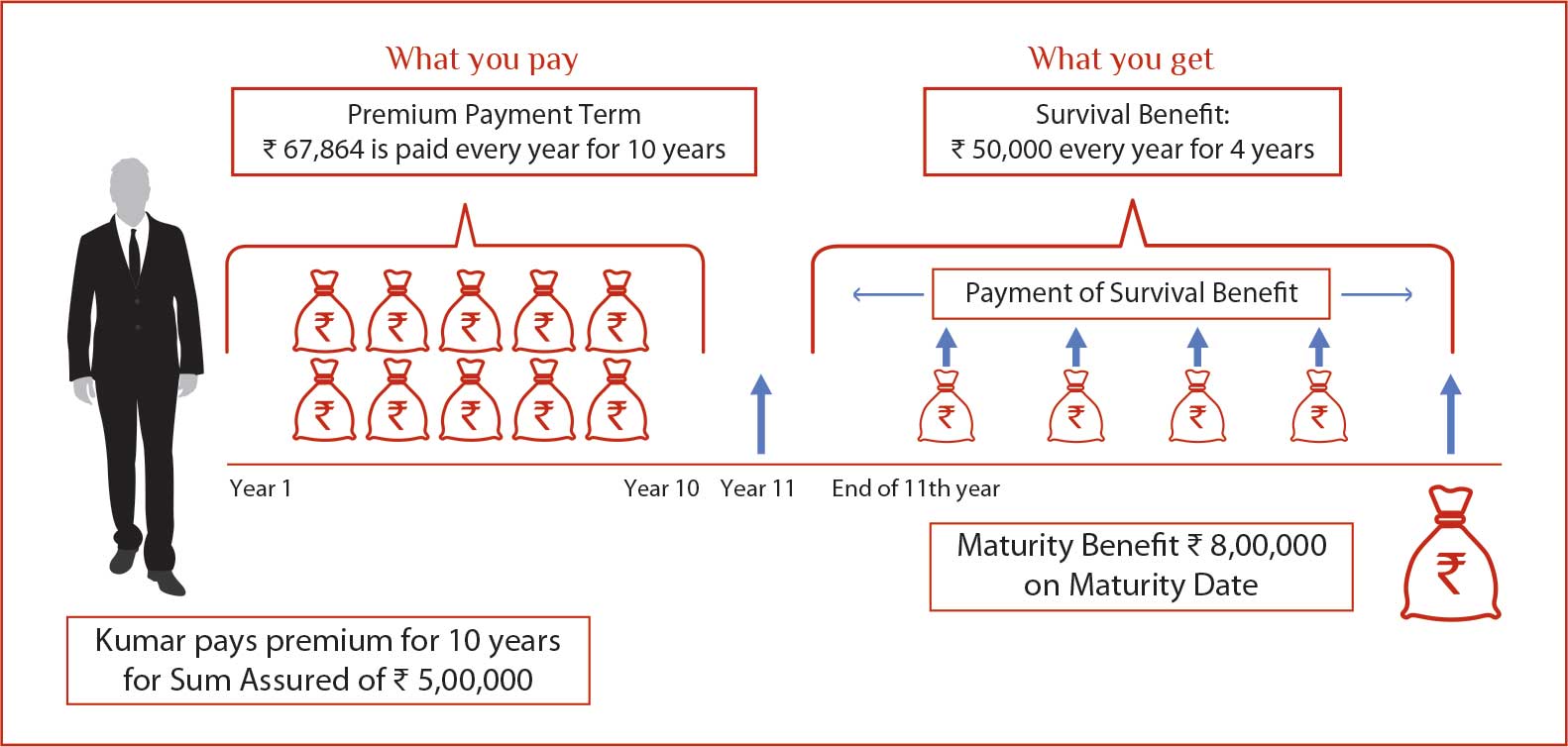 Survival and Maturity Benefit Option B
