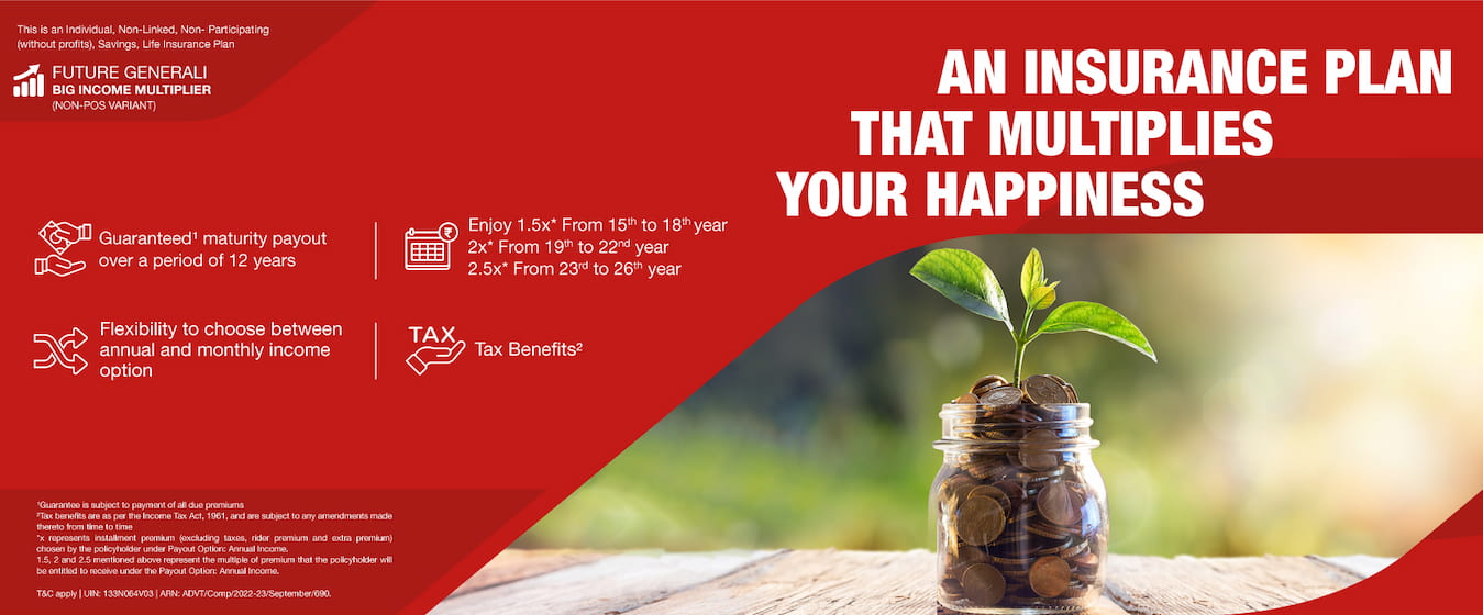 BIG-Income-Multiplier